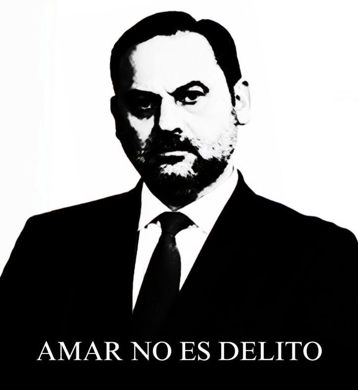 AMAR NO ES DELITO